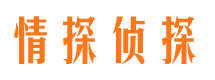 札达寻人公司